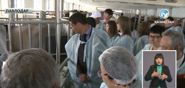 Дипломды ауылға барып қорғады