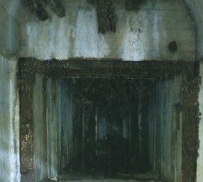 Гитлердің бункері қазір жарқанаттар мекені 