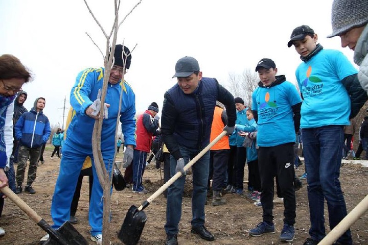 Батысқазақстандықтар жаппай ағаш егуге қатысты