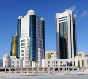 Шуда қарасорадан дәрі-дәрмек шығаратын зауыт салу керек - Д. Назарбаева