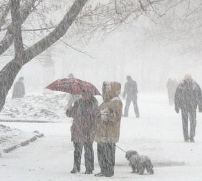 Метели сохранятся в Казахстане в пятницу