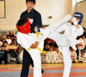 Астанада киокушинкай каратэден халықаралық турнир басталды