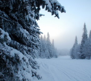 Қазгидромет: 9 наурызға арналған ауа райы болжамы