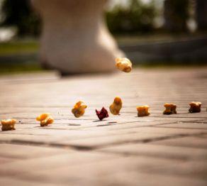 Ұлттық ойындар спартакиадасы өтеді