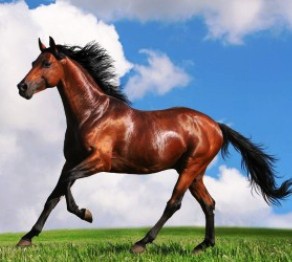 Орыс жалаңаш колледж қыздар порно фото