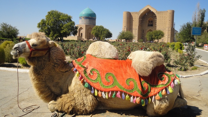 Түркістан: Туристерге қызмет көрсету орталығы ашылды