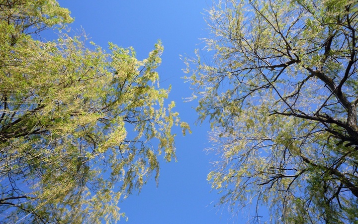 В праздничные дни в регионах Казахстана будет тепло и без осадков