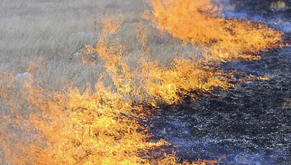 В Павлодарской области 7 часов тушили степной пожар