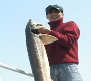 Бекіре балығы азайып барады