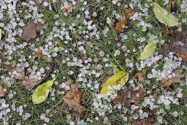 Қазақстанның кей аймақтарында бұршақ жауады