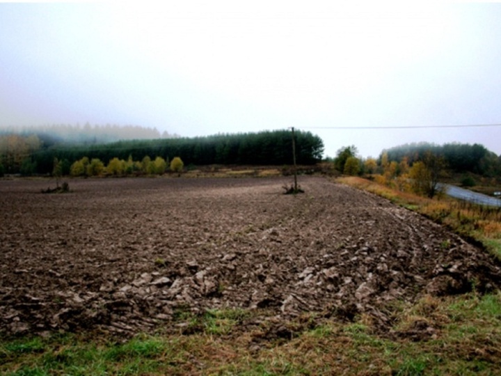 Елорда инфрақұрылымын дамытуға арналған жерлер тек Заң бойынша алынады