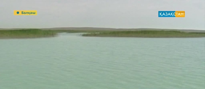 Балқаш көлі төрт облысты тоғыстырып тұр