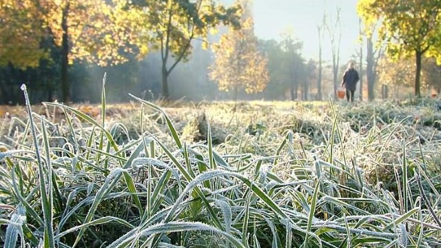 В ряде регионов Казахстана 4 сентября ожидаются заморозки