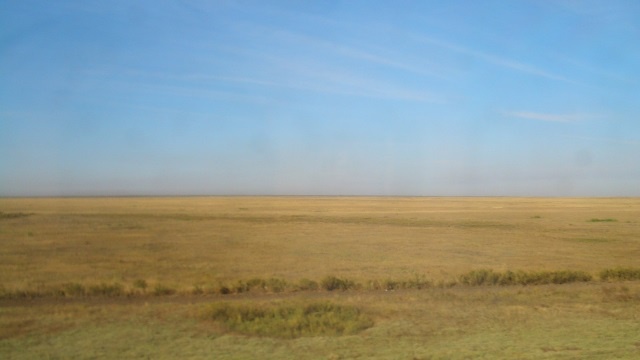 В ЮКО пограничники спасли заблудившихся в степи детей