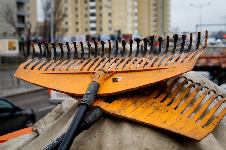 Алматыда жалпықалалық сенбілік өтеді