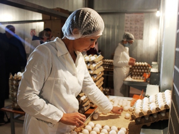 Астанада құс фабрикаларының жәрмеңкесі өтеді