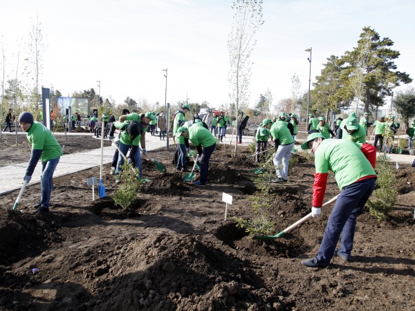 Экологиялық акция аясында 100 көшет егілді