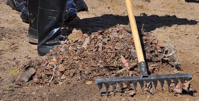 Алматыда өткен сенбілікке 165 мыңнан астам адам қатысты