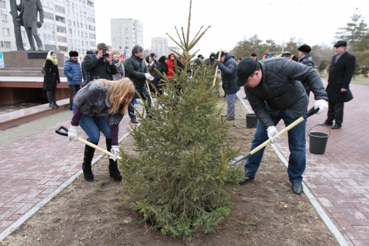 Павлодар облысында жыл басынан бері 151 мың көшет егілді