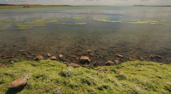 Порно мультфильм Лара Фабиан Тина Канделакидің эротикалық фотосуреті