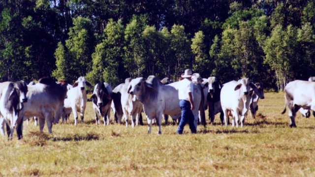 На выставке в Астане проходит презентация программы «Виртуальный ветеринар»