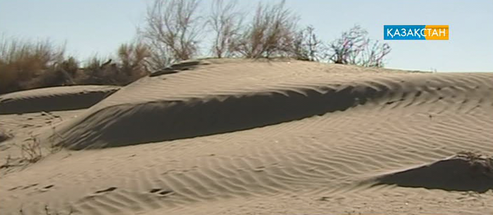 «Мойынқұм – атамекенім»