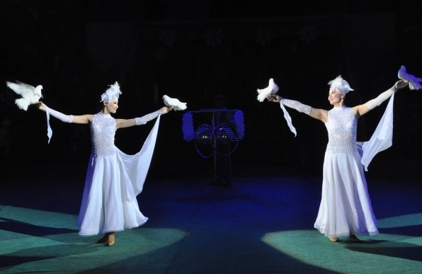 Тәуелсіздік күніне орай Астана циркінде қайырымдылық қойылым көрсетіледі