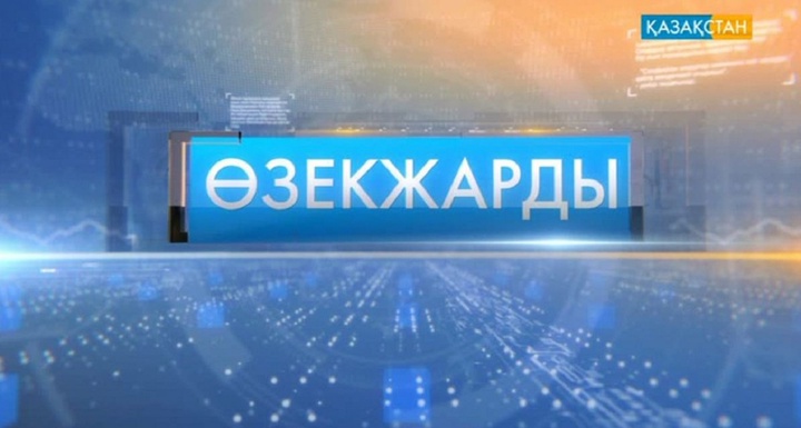 Қазақстандағы электрондық үкіметтің даму қарқыны қандай?