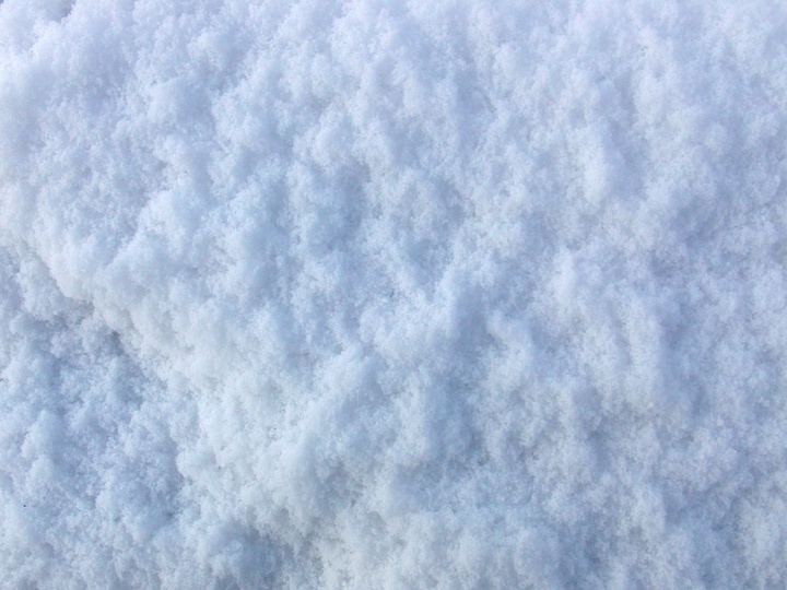 В Алматы пройдет зимний фестиваль «Экофест»