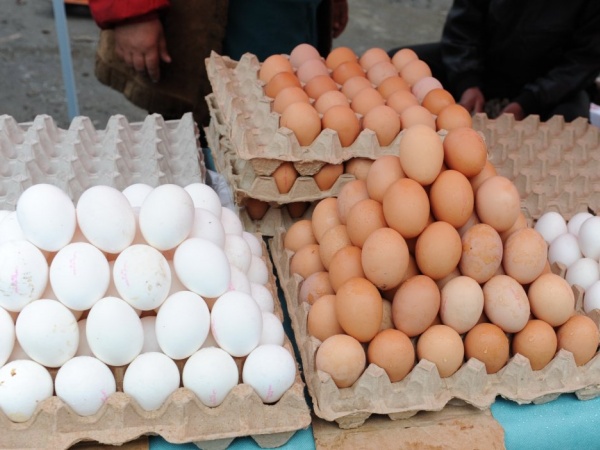 Астанада құс шаруашылығы жәрмеңкесі өтеді