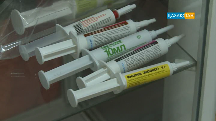 Мал шаруашылығына дәрі-дәрмек жеткілікті ме?