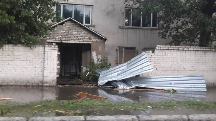 Шквальный ветер повалил деревья в Семее