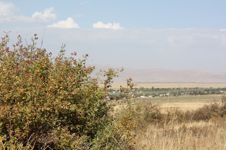 О свалках и незаконной стройке в заповедниках Жамбылской области сообщили в прокуратуре