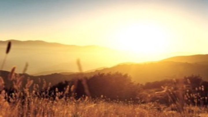 В Казахстане в пятницу сохраняется сильная жара