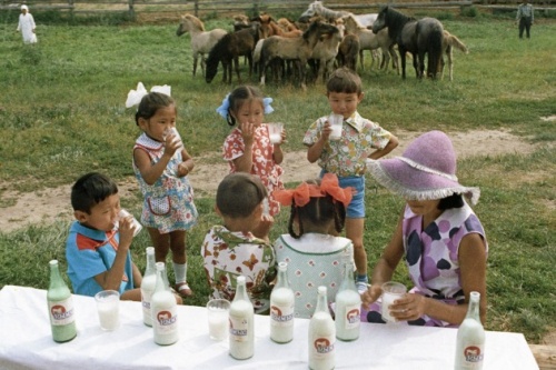 Павлодарда оқушылар жайлауда демалуда