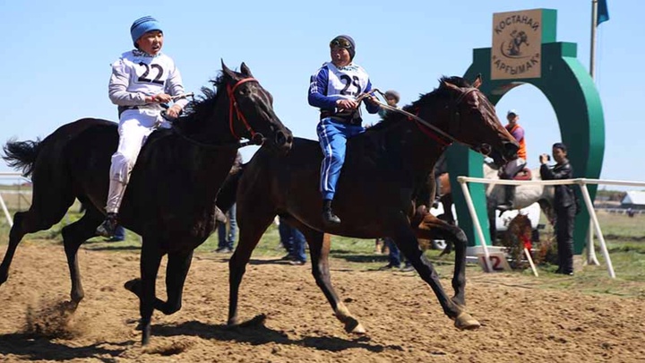 Қостанайда облысының Затабол кентінде облыстық «Тың» спартакиадасы өтеді