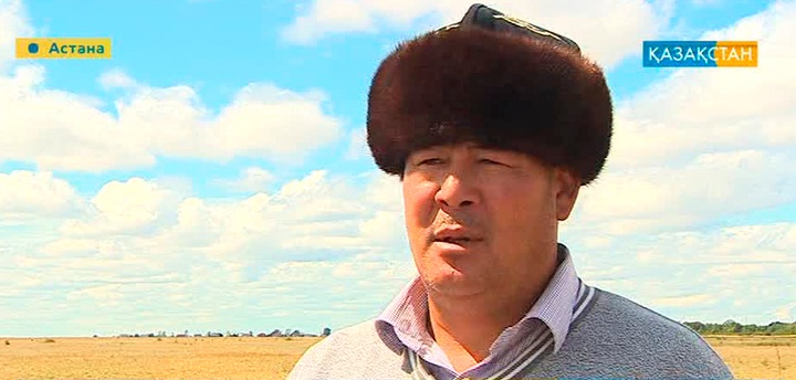 Асау үйрету қандай спорт?