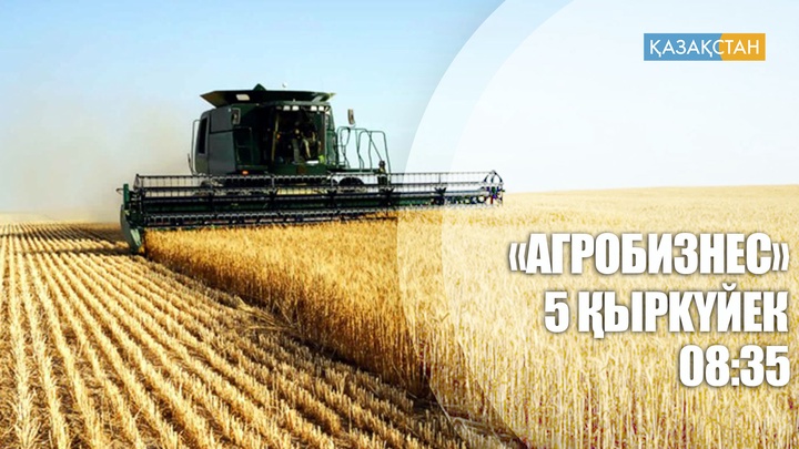 Құс шаруашылығы қалай дамуда?