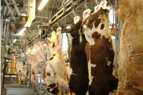  Қазақстанның Ауыл шаруашылығы министрі ірі қара малының етіне квотаны алып тастауды ұсынды