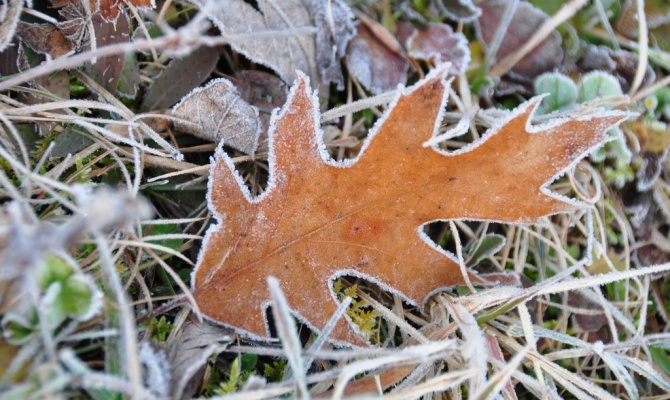 В ближайшие три дня в Казахстане ожидаются заморозки