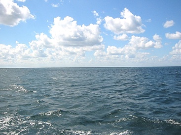 Түркия жағалауында қайғылы жағдай болды