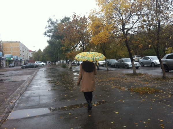 Ауа райы: Алдағы тәуліктерде республикамызда жел тұрып, күн суытады