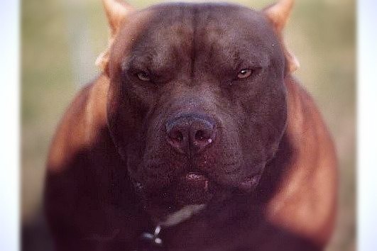 Бассейннен үлкен сиськи бар қыз