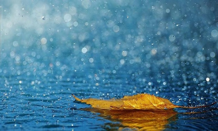 Ауа райы: Республиканың басым бөлігінде жаңбыр жауады