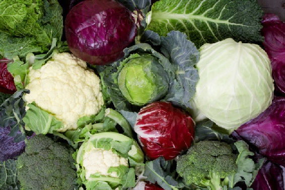 Үш қыз жігітті сиқырлайды Гомосексуалдық махаббат туралы деректі фильм