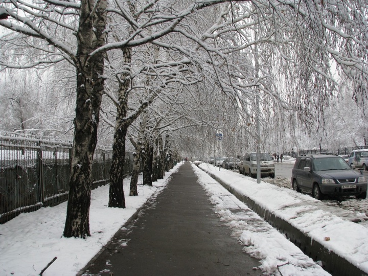 Ауа райы: Солтүстікте қар жауып, оңтүстікте әдеттегідей күн жылы