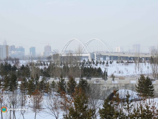 2016 жылы елорданың айналасына 350 мыңнан астам көшет отырғызылады