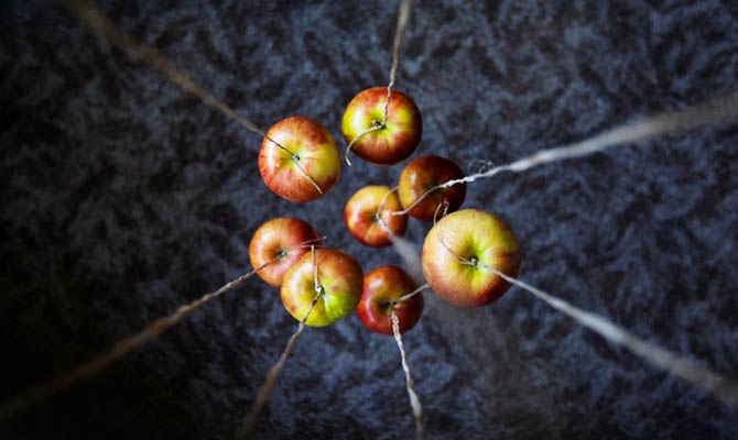 Алма туралы қызықты деректер