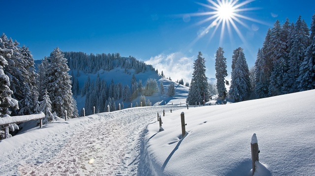 Ауа райы: Еліміздің басым бөлігінде күн ашық, тек шығысы мен солтүстігінде қар жауып, бұрқасын болады