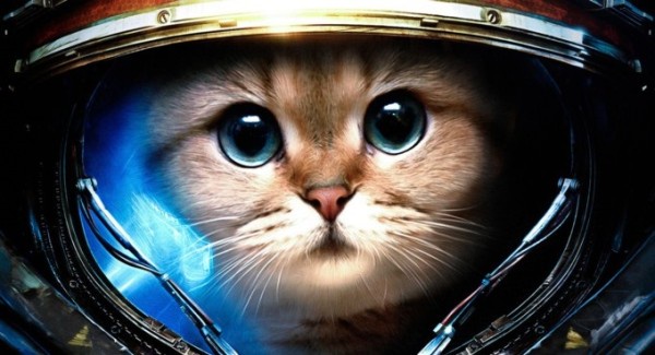 Дагестандық қыздар порно видео Дикімді салмай тұрып бітірдім (порно)